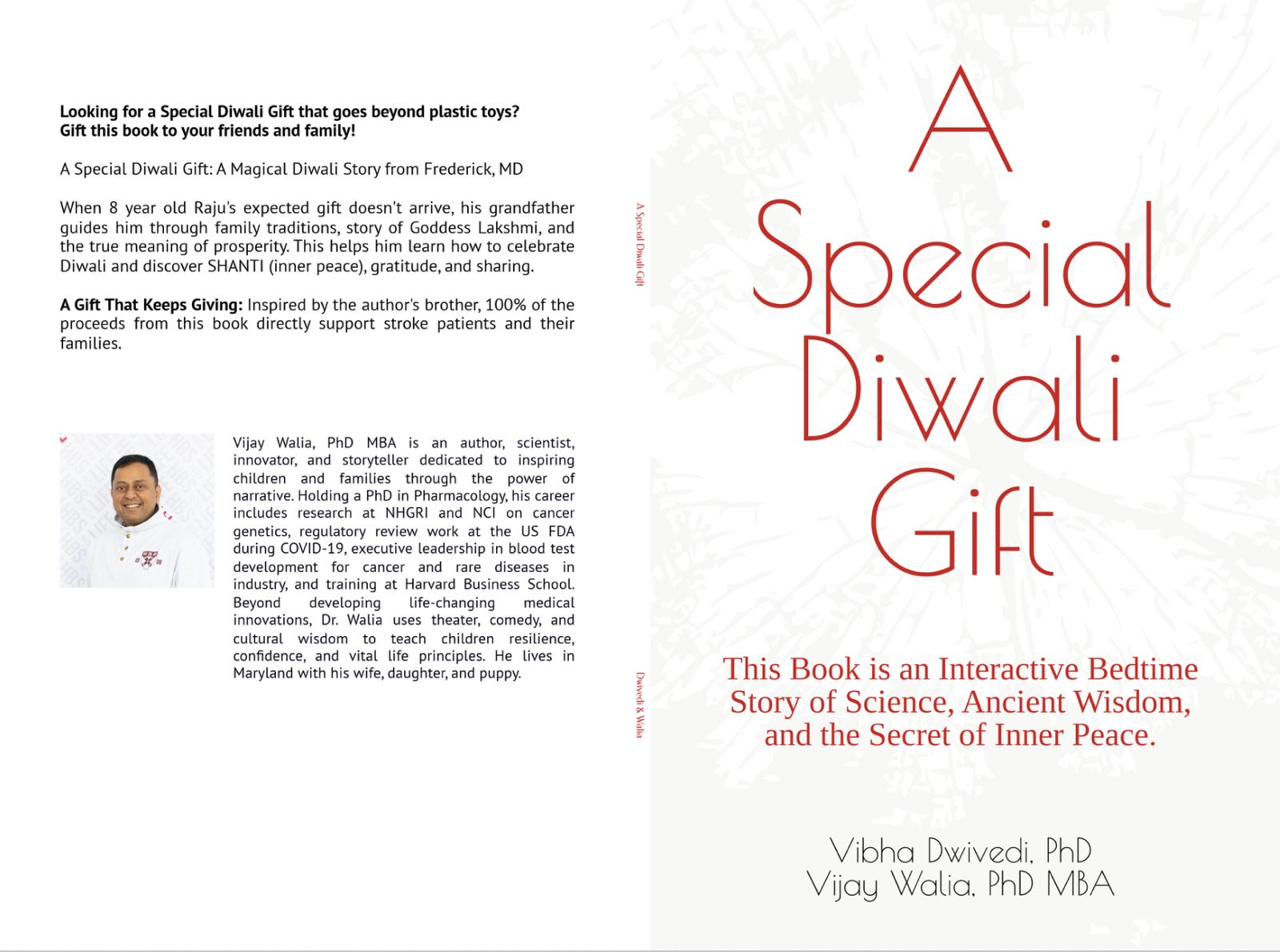 A Special Diwali Gift book cover